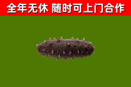 双阳烟酒回收干海参.jpg